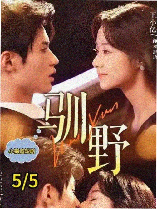 浪漫类型图鉴:樱粉色招牌与双人剪影